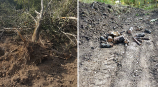 An apple orchard with an aport was destroyed in the mountains of Almaty - Kazakhstan, Almaty, Apples, Land plot, Garden, Theft, Felling, Video, Longpost, Negative