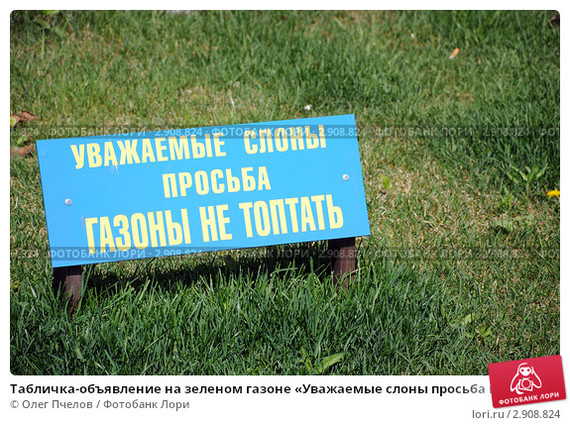 Plates for dogs - My, Longpost, Dog, Humor, Walking, Lawn, Табличка, Don't walk on lawns