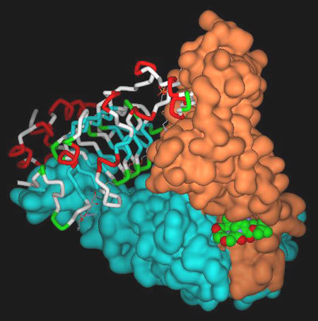 Support the honor of Russia in the project of computer search for a cure for cancer! - The science, Boinc, Medications, Crayfish, AIDS, Hiv, Project, Longpost