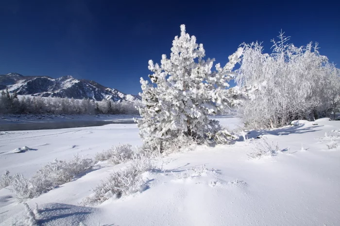 On the Katun in February. - My, The photo, Russia, Altai, Travels, Winter, , Altai Republic