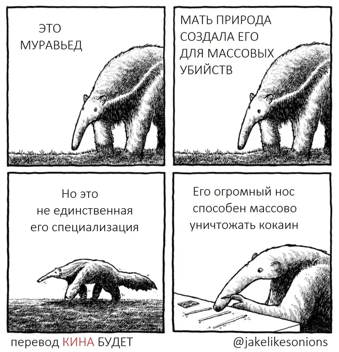Read in Drozdov's voice... - Ant-eater, Nature, In the animal world, Nikolay Drozdov, Comics, Translated by myself, Jake likes onions