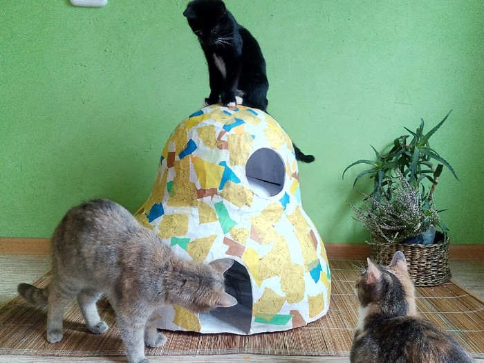 Кошачий домик ручной работы | Пикабу