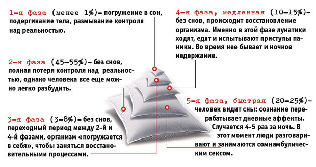 Разбуди меня: факты о лунатиках