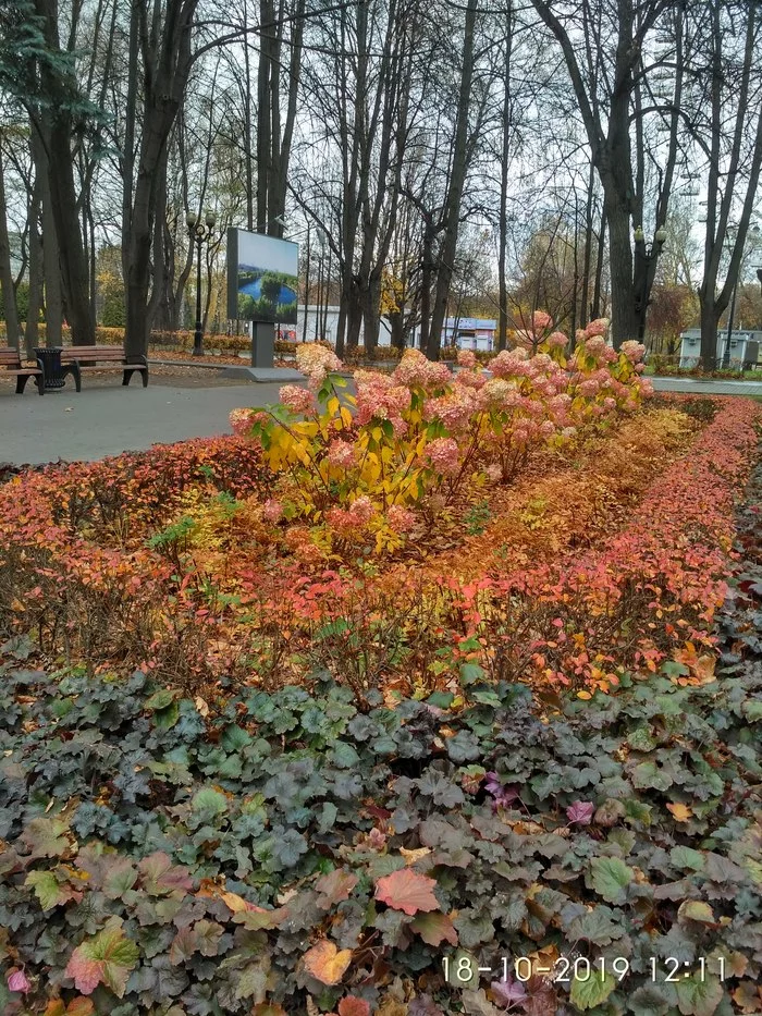 Autumn Izmalovsky park. - My, The photo, Izmailovsky park, Autumn, Longpost