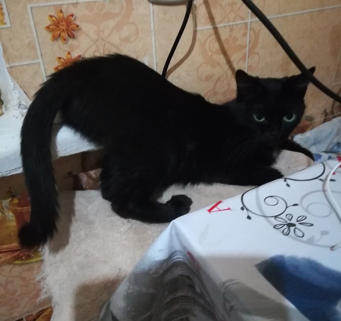 Главное удобно