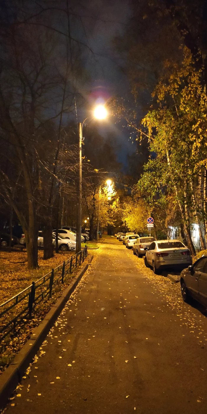 Way home - My, Autumn, Night, The photo, Xiaomi MI MIX 2S