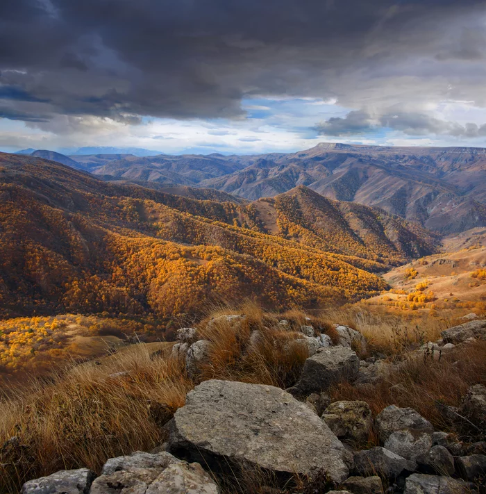 Golden distances - My, Autumn, The mountains, Karachay-Cherkessia, October, Nature, The photo