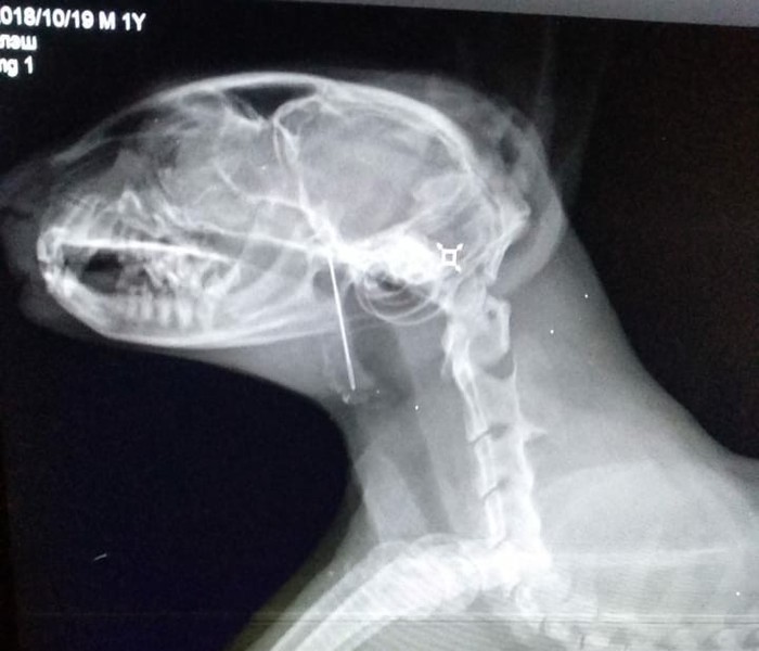 ��� � ����