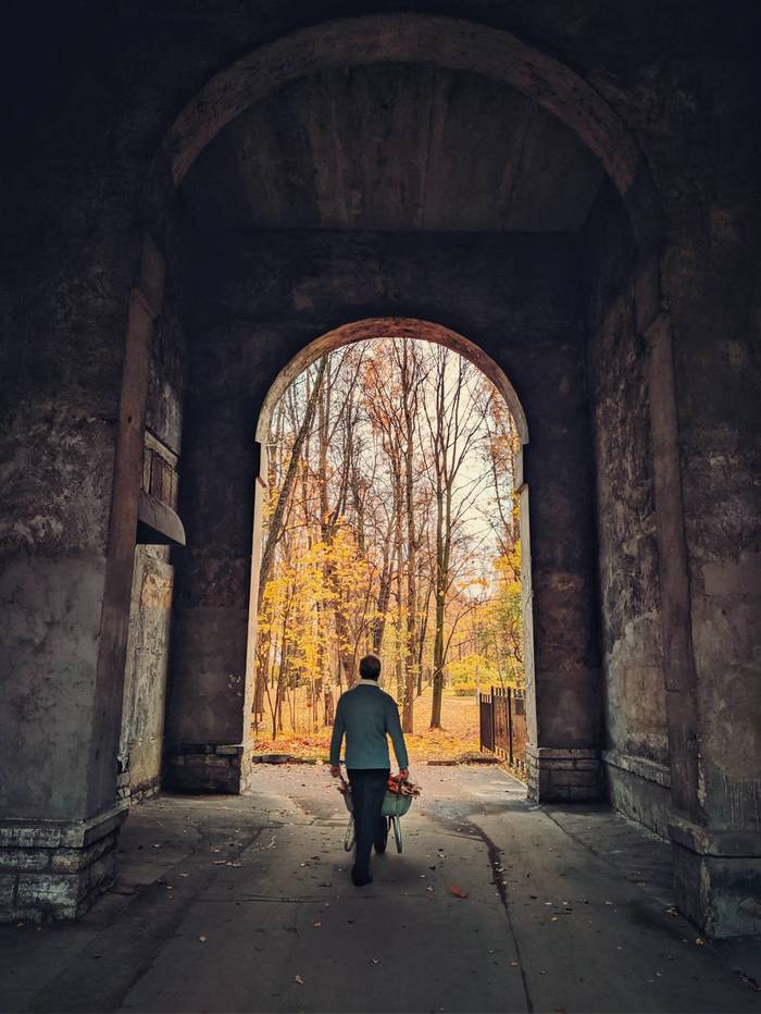 The janitor returns autumn's leaves - My, The photo, Street photography, Mobile photography, Saint Petersburg, Town, Autumn