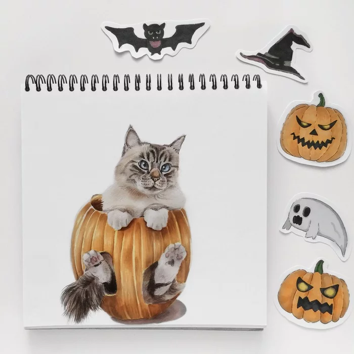 Cat in a pumpkin - My, cat, Portrait, animal portraits, Pumpkin, Halloween, Halloween pumpkin, Art, Sketch
