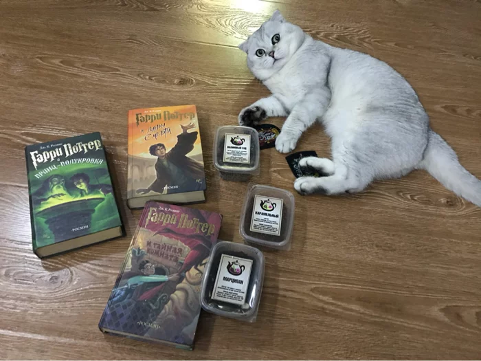 Books about Harry Potter (part two) - My, Harry Potter, Books, Package, cat