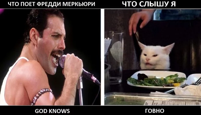 I sing what I hear. - Freddie Mercury, cat, Memes, Two women yell at the cat