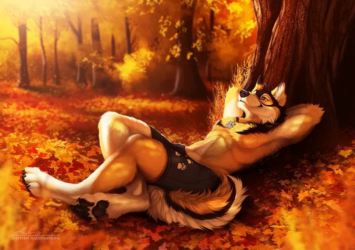 Serenity In The Amber Autumn - Furry, Furry art, Furry canine, Furry wolf, Furry edge, Autumn, Silvixen