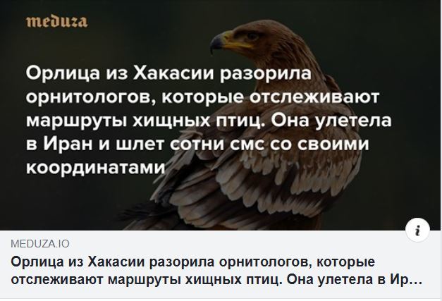 Ассорти 96 - Исследователи форумов, Всякое, Дичь, Юмор, Отношения, Трэш, Мужчины и женщины, Длиннопост