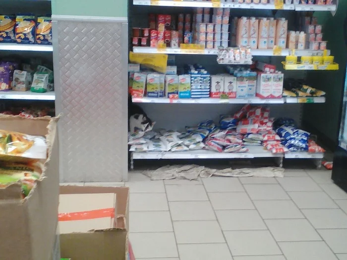 Котик в супермаркете # пятничное - Моё, Кот, Пятничное, Тег для красоты, Таити, Длиннопост