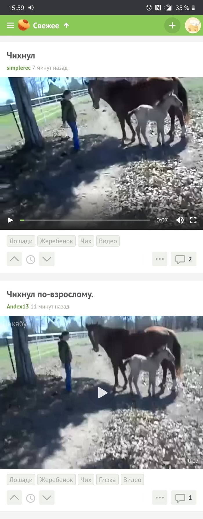 2 одинаковых поста