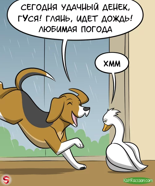 Rain - Comics, GIF with background, Dog, Гусь, Rain, Translated by myself, Kat swenski, GIF, Longpost