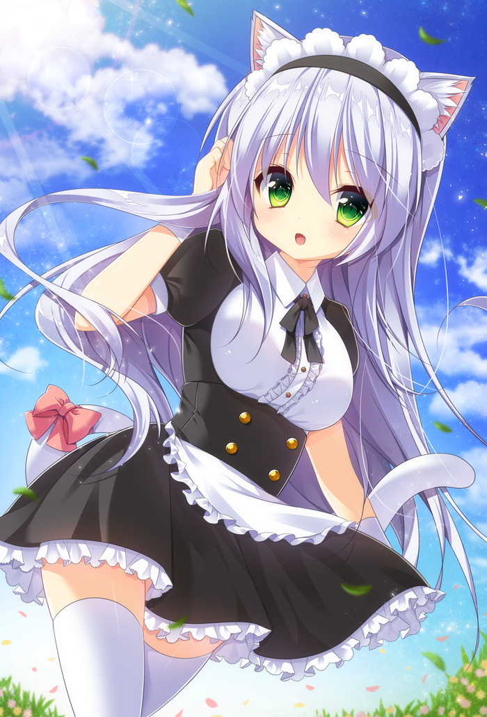 Cat girl maid anime