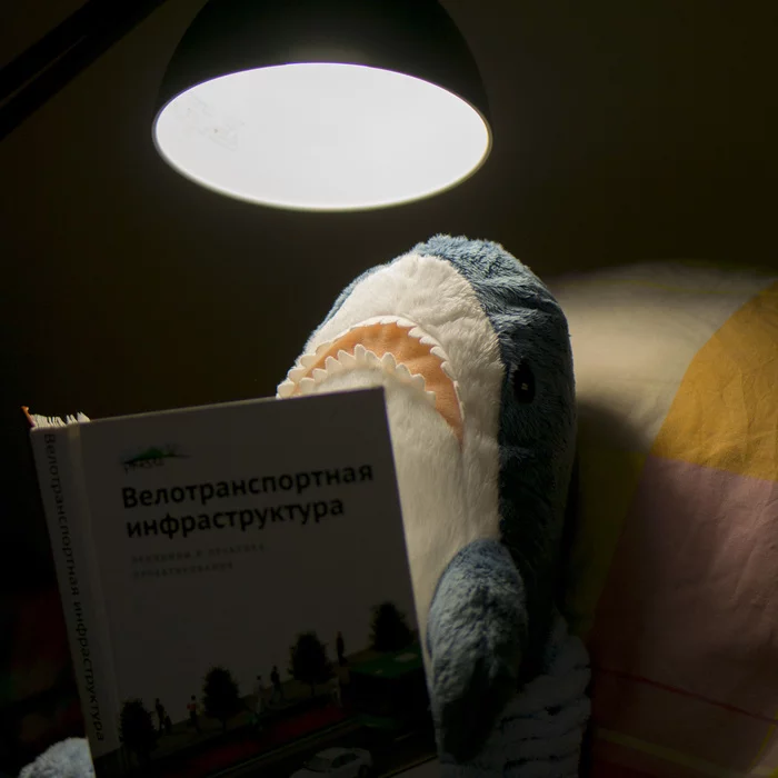 Акула Туна — лайфстайл блоггер - Моё, Акула, Плюшевые игрушки, Фотография, Осень, Блохэй, ИКЕА, Instagram, Видео, Длиннопост