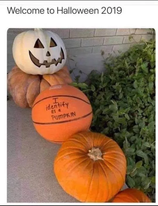 Halloween 2019 - Halloween, Pumpkin, Tolerance