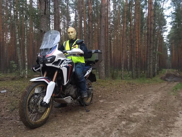 #TRASHTAG 25.0 - Nature, Kostroma, Forest, Saturday clean-up, Garbage, Moto, Pure Man's League, Longpost
