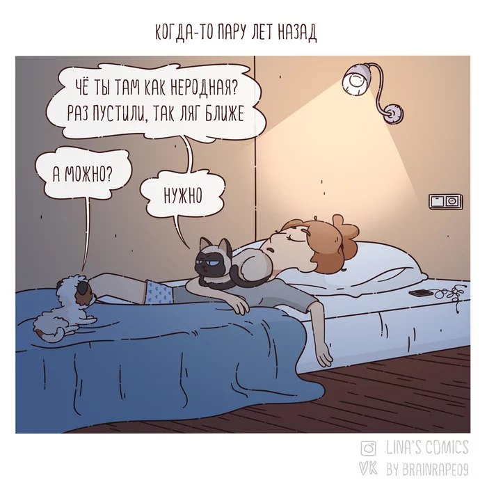 LINA'S COMICS #44 - Good morning - My, Comics, Linascomics, Animals, Dog, cat, Humor