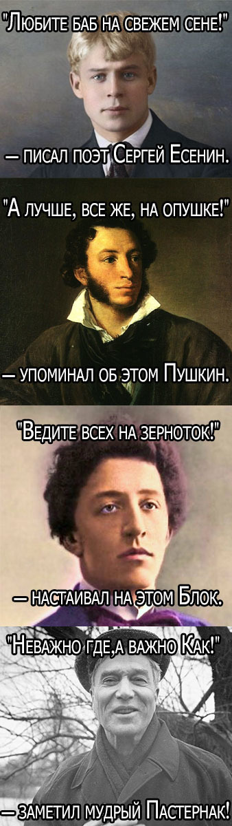 Poets won't recommend nonsense - Поэт, Picture with text, Longpost