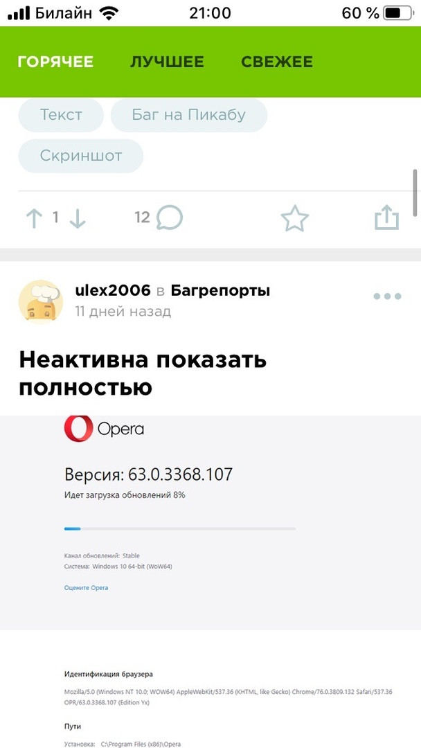 Багрепорт мобильного приложения iOS - Моё, Пикабу, iOS, Приложение, Видео, Длиннопост