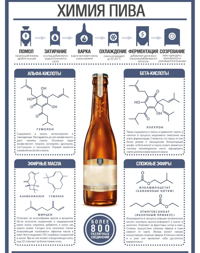 Chemistry of some alcoholic beverages and coffee - Chemistry, Alcohol, Coffee, Alcohol, Compound, Infographics, Picture with text, Copy-paste, Longpost