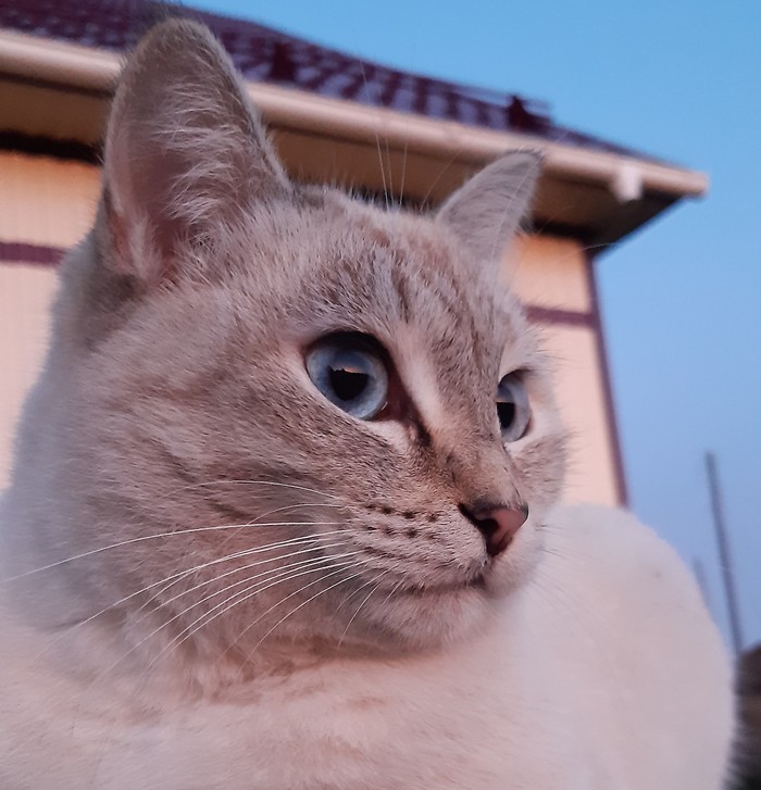 ��������� ������ � ������ ���� �����.