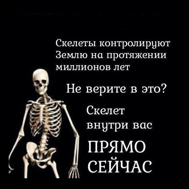 Skeleton Conspiracy - Conspiracy, Skeleton, Picture with text