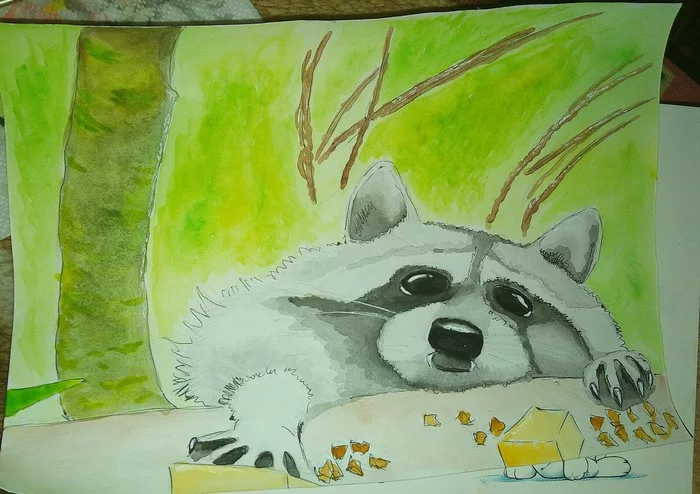 Raccoon - My, Drawing, Watercolor, Sketch, Raccoon