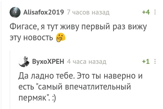 Russia is for the sad. No choice, no change - Comments on Peekaboo, Jesus Christ, Cosplay, Longpost, Screenshot, Permian