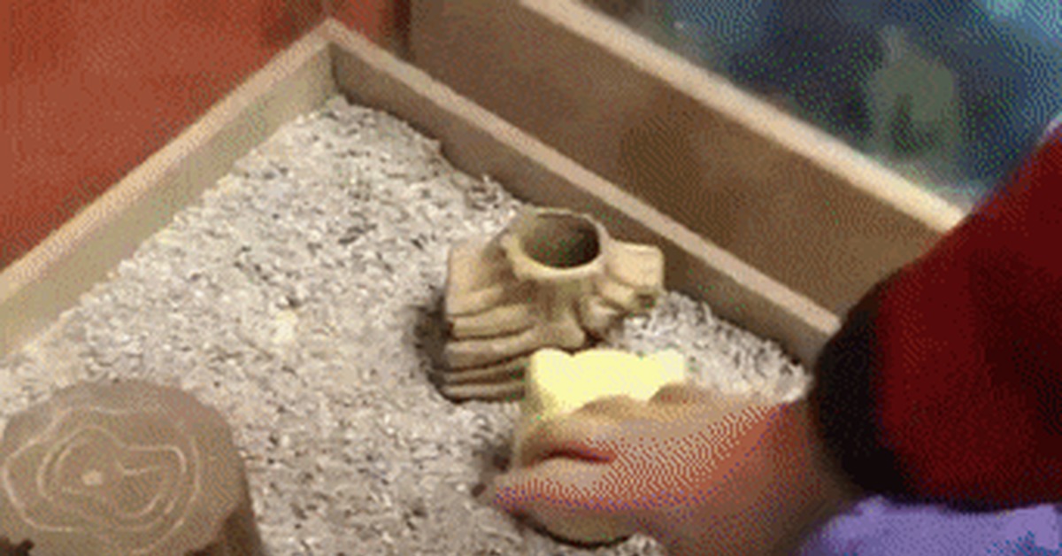 Who's hiding here? - Sand, Aviary, Animals, Rodents, Milota, GIF, Hamster