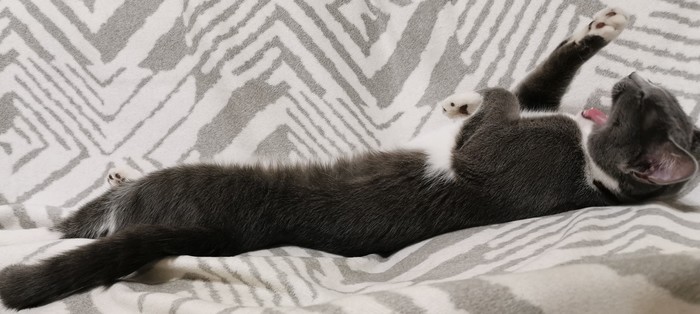 �����. ����������� �����. �� ����������� ������.