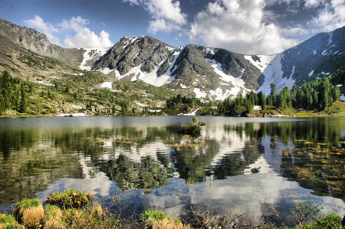 Спасём КАРАКОЛЫ !!! Остановим строительство дороги !!!