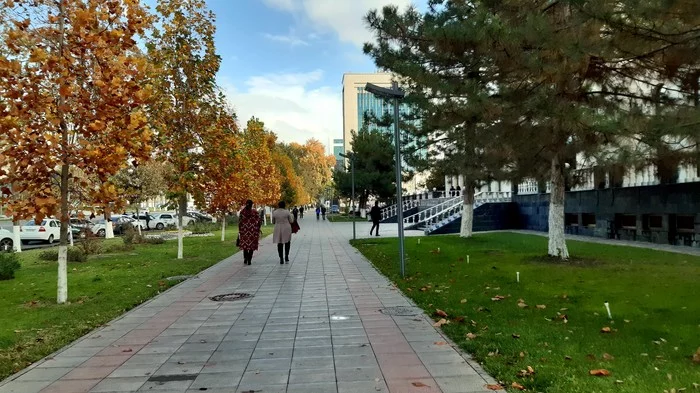 Walking around Tashkent #6. Walk on a November day. - My, Tashkent, Uzbekistan, Walk, The photo, The park, Longpost
