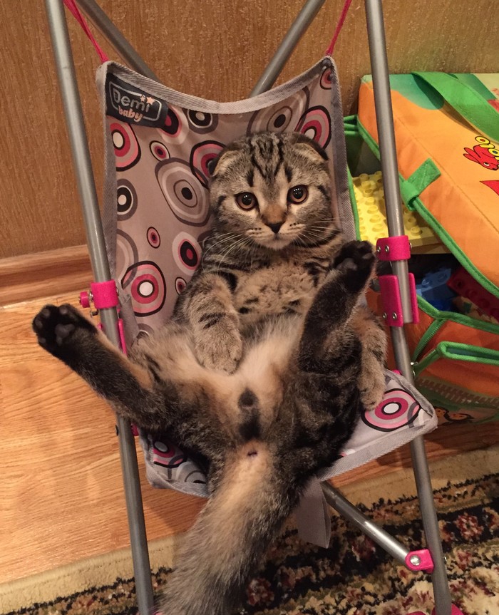 � ���� ���� ��� ������ ���� ?