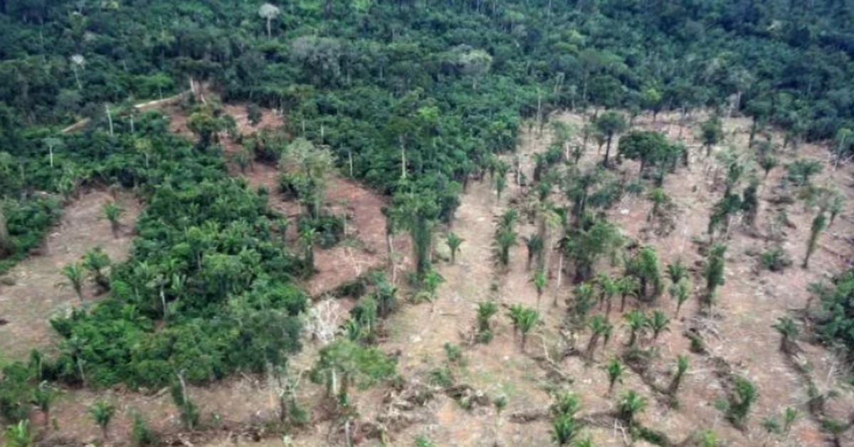 Обезлесивание. Долина Мехико обезлесение. Обезлесение Бразилии. Обезлесение Амазонка. Вырубка тропических лесов Амазонии.