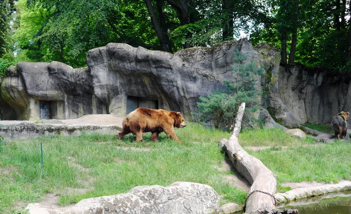 Zoos in Germany | In outline - My, Germany, Zoo, Design, Longpost, Experience, Travels, Animals