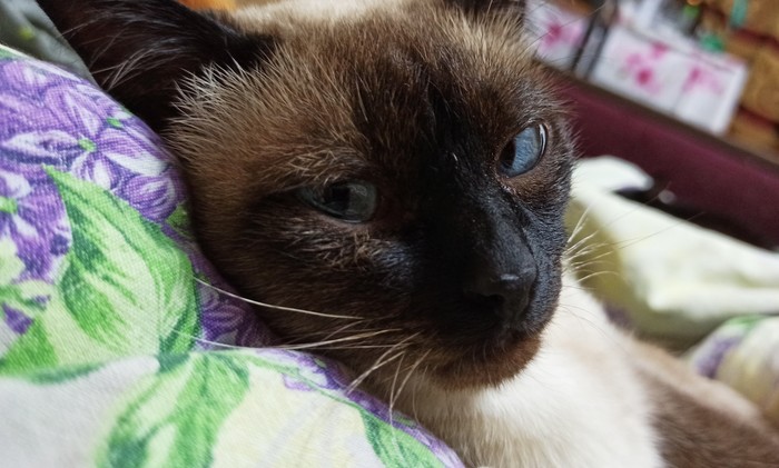 ��� �����, ����� � ������ ����