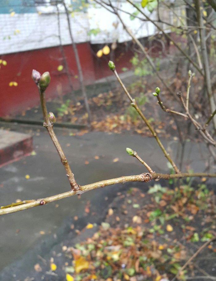 ��������.. �丸��?