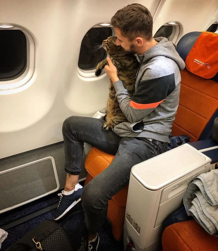 A man from Vladivostok was not allowed on the plane because of his cat - cat, Airplane, Vladivostok, Savvy