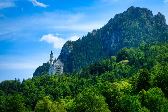 In the vicinity of Neuschwanstein Castle - My, Lock, Neuschwanstein, Nature, Excursion, Travels