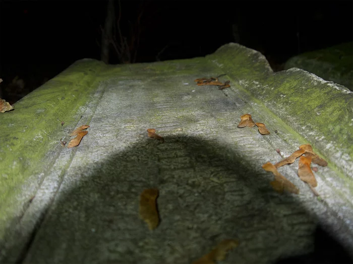 Walking through the old cemetery at night, with a candle in hand - My, Cemetery, Church, Night, Mystic, Video, Longpost