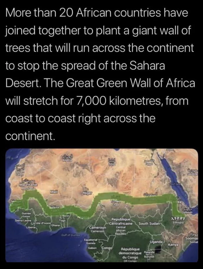 Great Green Wall of Africa - Africa, Ecology, Desert, Tree, From the network