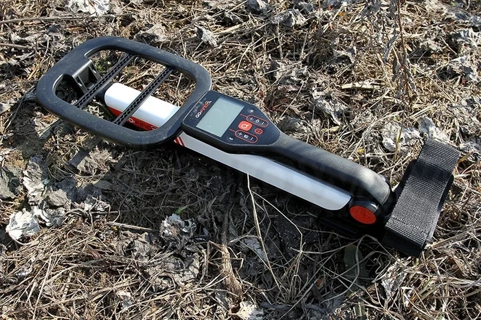 Is it possible to find coins with the GO FINFD 20 metal detector? - My, Minelab, Metal, Search for coins, Metal detector, Village, Treasure, Gold, Coin