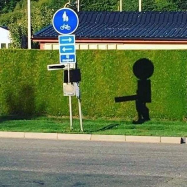 Доктор, а зачем вы такие картинки у себя держите?