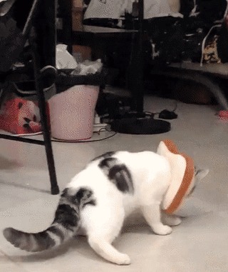 Котерброд