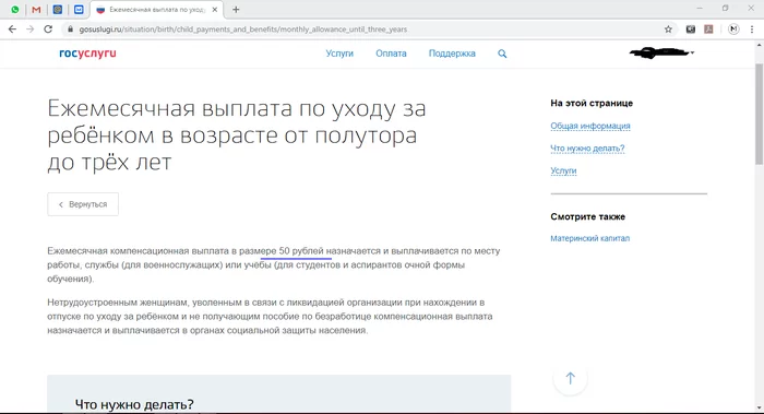 Неслыханная щедрость от Государства или опечатка? - Скриншот, Госуслуги, Пособие, Россия, Соцзащита